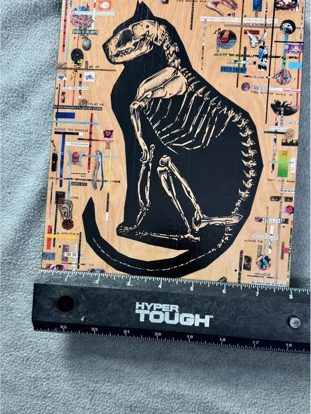 ecurry art the narcissist‎ cat skeleton collage wood panel signed mixed media